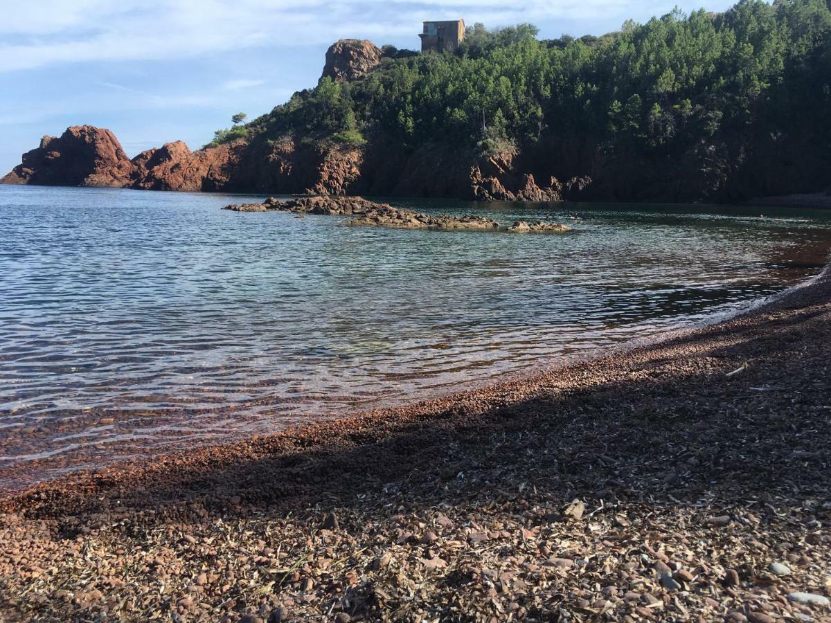 "Les Alizes" Cote Jardin Proche Bord De Mer Saint-Raphaël Exterior foto